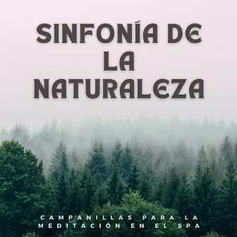 Sinfonía De La Naturaleza: Campanillas Para La Meditación En El Spa by 