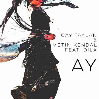 Ay by Metin Kendal