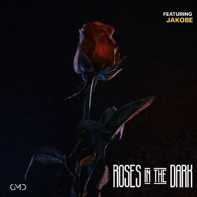 Roses in the Dark