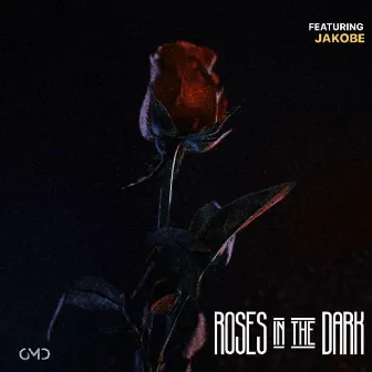 Roses in the Dark by GMD