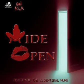 Wide Open (feat. Iidentikal Wunz) by Dat A.L.C.