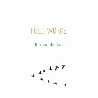 Born in the Ear by Field Works