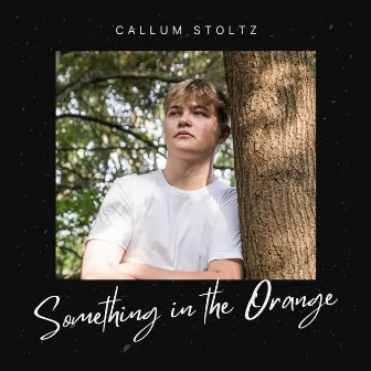 Something in the Orange by Callum Stoltz