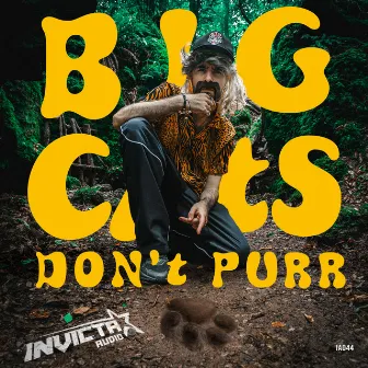 Big Cats Don't Purr EP by Formula