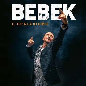 Bebek U Spaladiumu by Željko Bebek