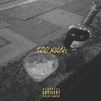 Too Much by Drahmah