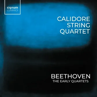 String Quartet No. 6 in B-Flat Major, Op. 18 No. 6: I. Allegro con brio by Calidore String Quartet