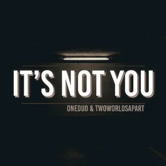 Its Not You by ONEDUO