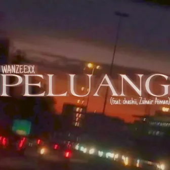 PELUANG by Unknown Artist