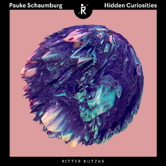 Hidden Curiosities by Pauke Schaumburg