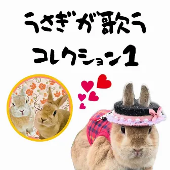 Rabbit singing collection 1 by kyo-co