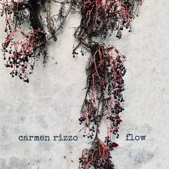 Flow by Carmen Rizzo