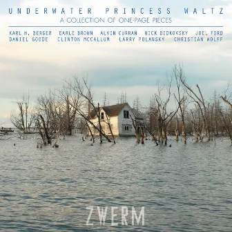 Underwater Princess Waltz by Zwerm