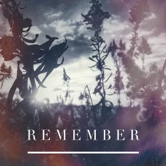 Remember by Lizi Bailey