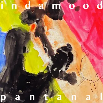 In Da Mood by Pantanal