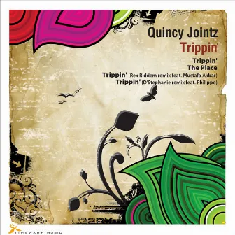 Trippin by Quincy Jointz