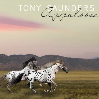 Appaloosa by Tony Saunders