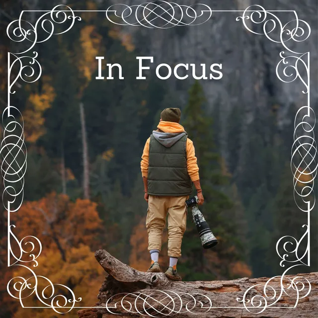 In Focus