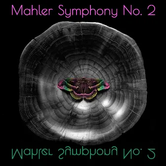 Mahler Symphony No. 2 by Heather Harper