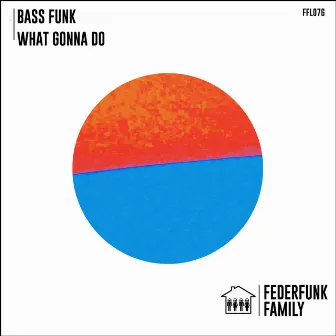 What Gonna Do by Bass Funk