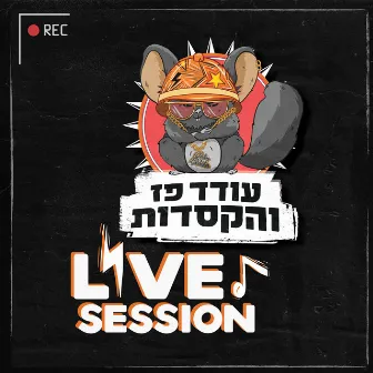 Live Session by עודד פז והקסדות