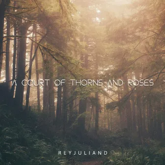 A Court of Thorns and Roses by Reyjuliand