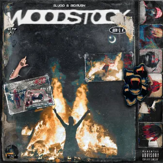 Woodstock by Slugg