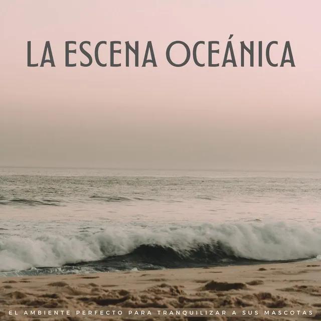 La Escena Oceánica: El Ambiente Perfecto Para Tranquilizar A Sus Mascotas