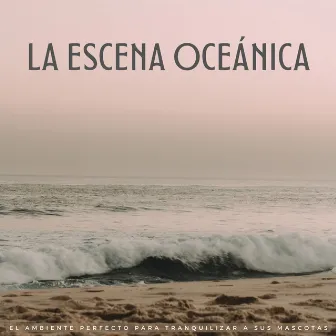 La Escena Oceánica: El Ambiente Perfecto Para Tranquilizar A Sus Mascotas by Relaja a mi gato