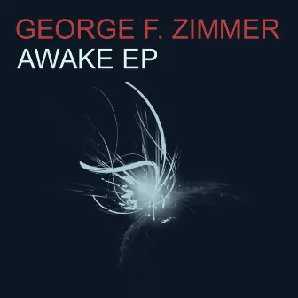 Awake by George F. Zimmer