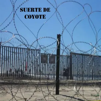 Suerte de Coyote by Mareos