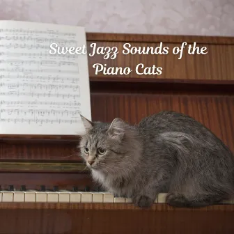 Sweet Jazz Sounds of the Piano Cats by 