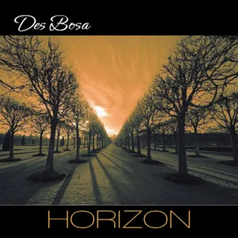 Horizon by DES