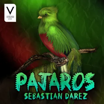 Pajaros by Sebastian Darez