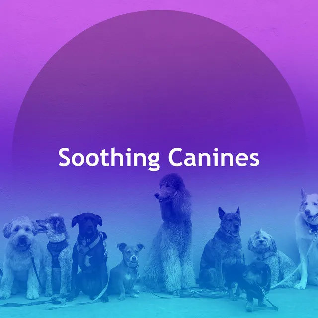 Soothing Canines