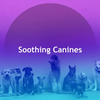 Soothing Canines by Unknown Artist