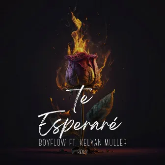 Te Esperaré by BoyFlow