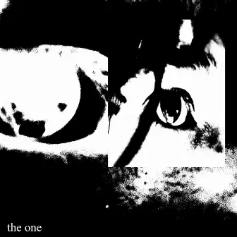 the one by vlx