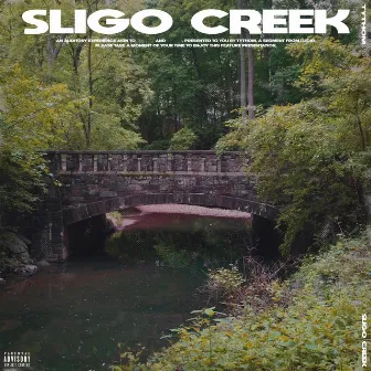 Sligo Creek by Ty Thom