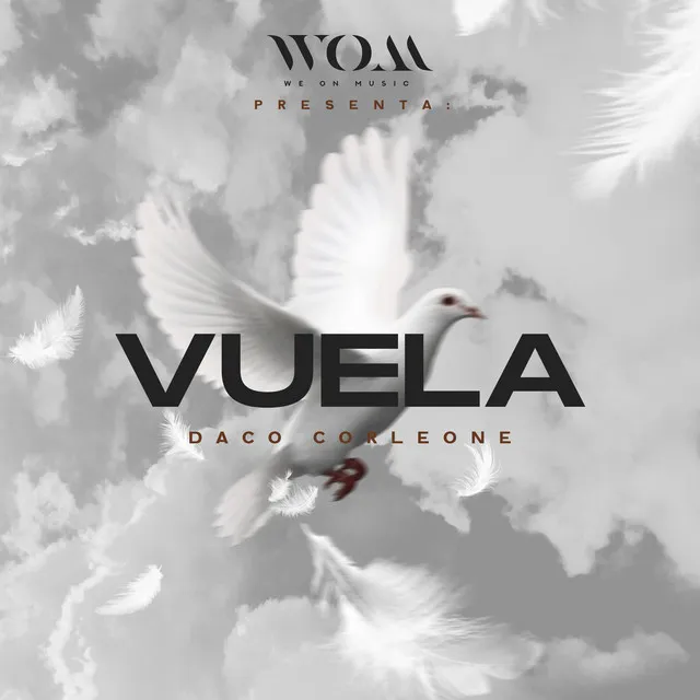 Vuela