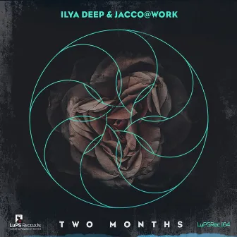 2 Months by Jacco@Work