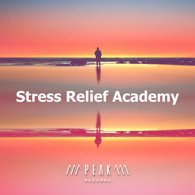 Stress Relief Academy