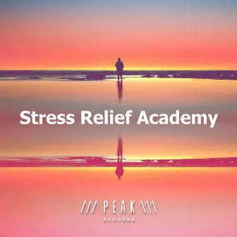 Stress Relief Academy by Stress Relief