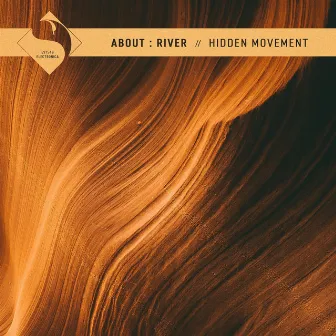 Hidden Movement by about : river