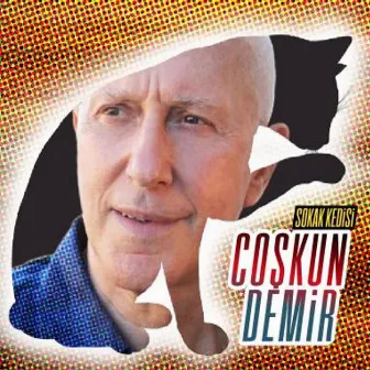 Sokak Kedisi by Coşkun Demir