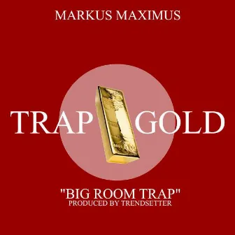 Big Room Trap by Markus Maximus