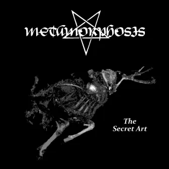 The Secret Art by Metamorphosis