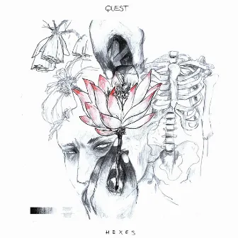 Hexes by Quest