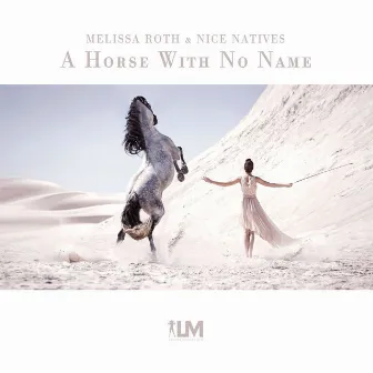 A Horse With No Name by Melissa Roth