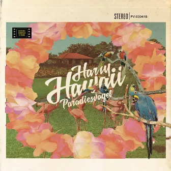 Paradiesvogel by Harry Hawaii